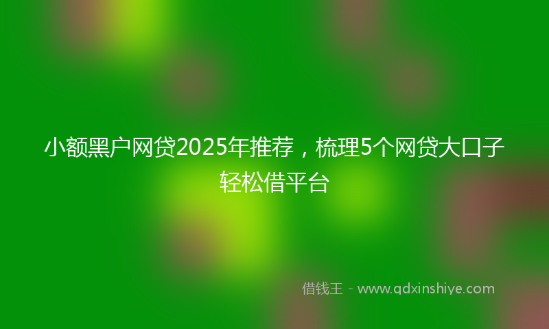 小额黑户网贷2025年推荐，梳理5个网贷大口子轻松借平台