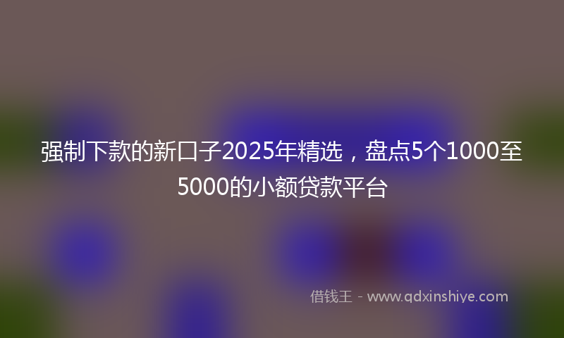 强制下款的新口子2025年精选，盘点5个1000至5000的小额贷款平台