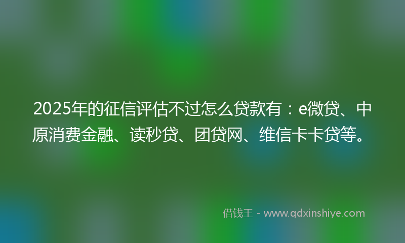 2025年的征信评估不过怎么贷款有：e微贷、中原消费金融、读秒贷、团贷网、维信卡卡贷等。
