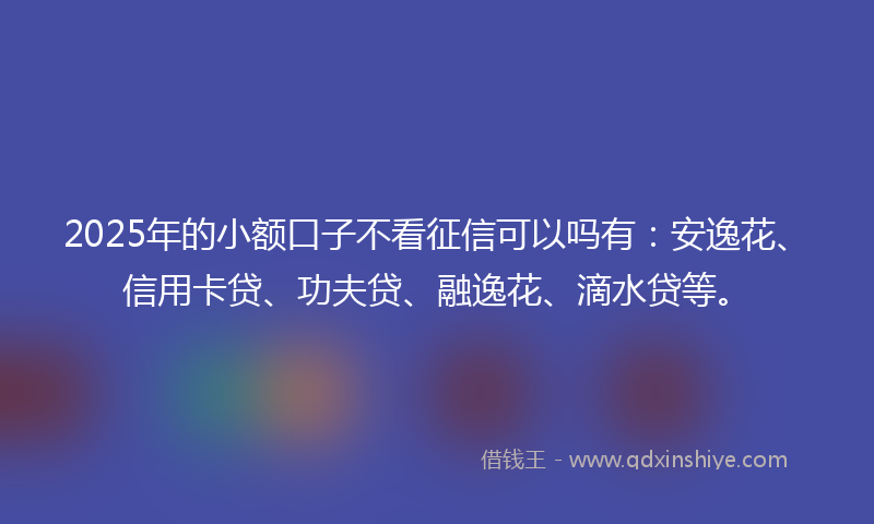 2025年的小额口子不看征信可以吗有：安逸花、信用卡贷、功夫贷、融逸花、滴水贷等。