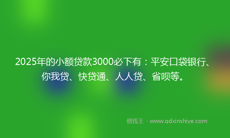 2025年的小额贷款3000必下有：平安口袋银行、你我贷、快贷通、人人贷、省呗等。