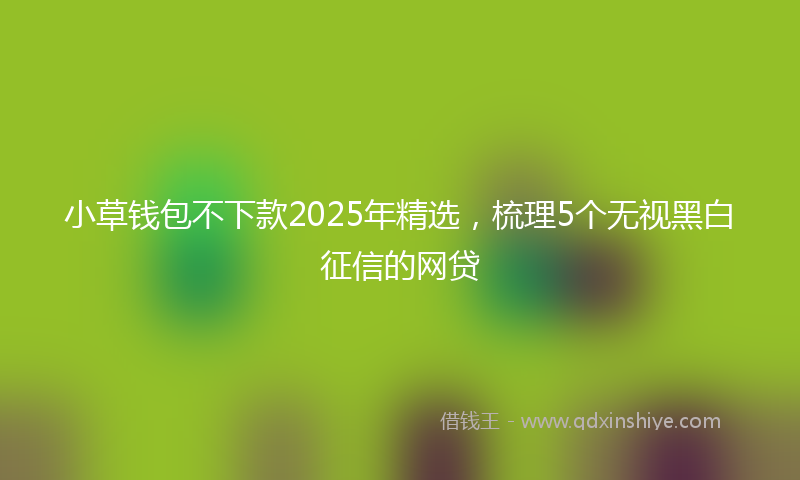 小草钱包不下款2025年精选，梳理5个无视黑白征信的网贷