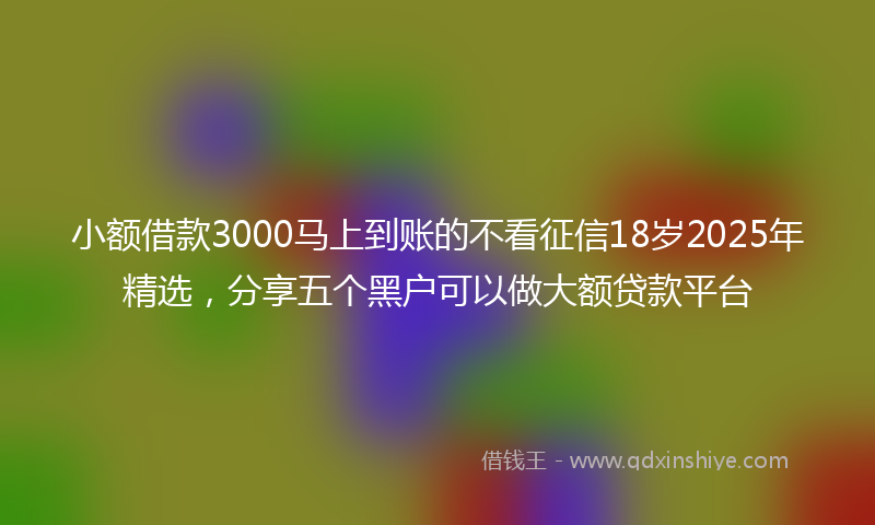 小额借款3000马上到账的不看征信18岁2025年精选，分享五个黑户可以做大额贷款平台