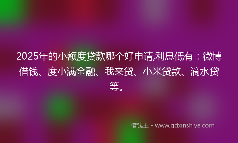 2025年的小额度贷款哪个好申请,利息低有：微博借钱、度小满金融、我来贷、小米贷款、滴水贷等。