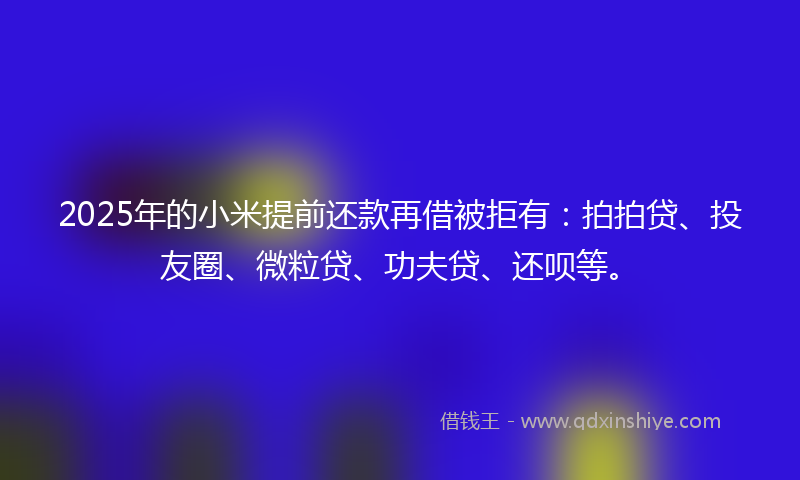 2025年的小米提前还款再借被拒有：拍拍贷、投友圈、微粒贷、功夫贷、还呗等。