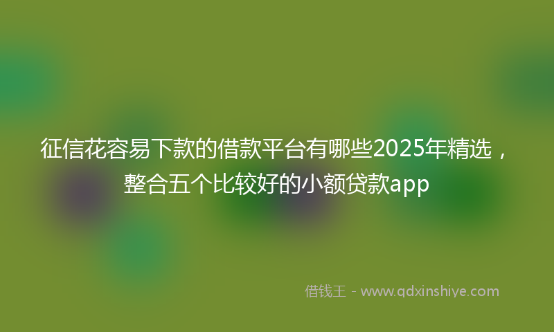 征信花容易下款的借款平台有哪些2025年精选，整合五个比较好的小额贷款app