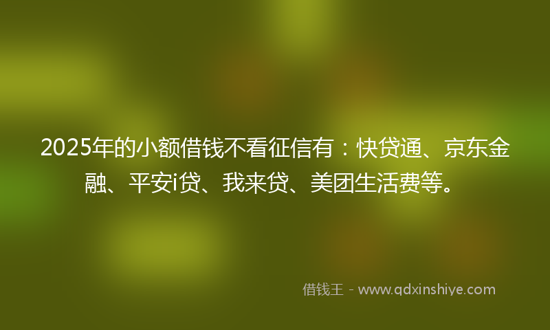 2025年的小额借钱不看征信有：快贷通、京东金融、平安i贷、我来贷、美团生活费等。