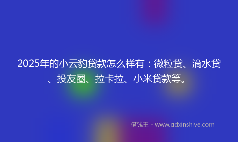 2025年的小云豹贷款怎么样有：微粒贷、滴水贷、投友圈、拉卡拉、小米贷款等。