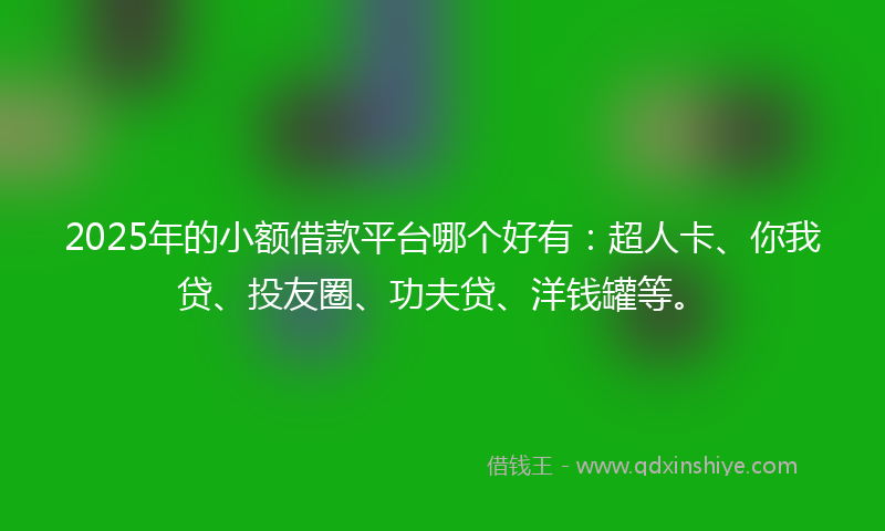 2025年的小额借款平台哪个好有：超人卡、你我贷、投友圈、功夫贷、洋钱罐等。