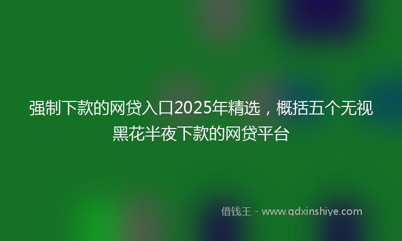 强制下款的网贷入口2025年精选，概括五个无视黑花半夜下款的网贷平台