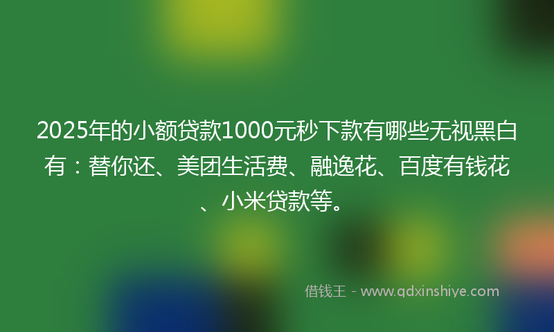 2025年的小额贷款1000元秒下款有哪些无视黑白有：替你还、美团生活费、融逸花、百度有钱花、小米贷款等。