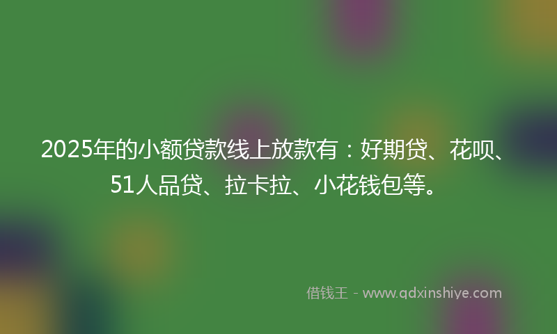 2025年的小额贷款线上放款有：好期贷、花呗、51人品贷、拉卡拉、小花钱包等。