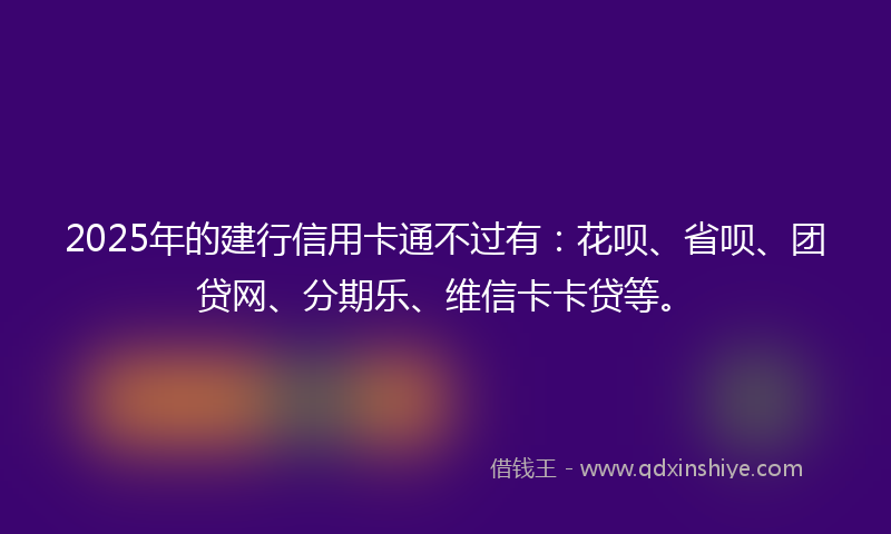 2025年的建行信用卡通不过有：花呗、省呗、团贷网、分期乐、维信卡卡贷等。