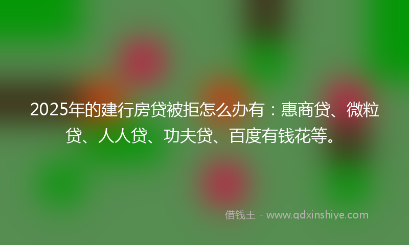 2025年的建行房贷被拒怎么办有：惠商贷、微粒贷、人人贷、功夫贷、百度有钱花等。