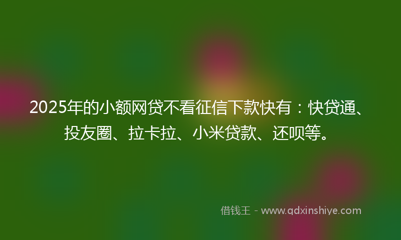 2025年的小额网贷不看征信下款快有：快贷通、投友圈、拉卡拉、小米贷款、还呗等。