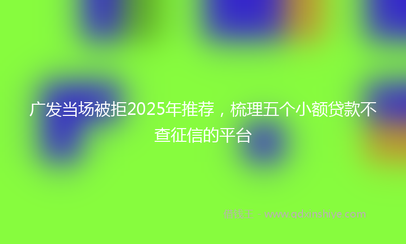 广发当场被拒2025年推荐，梳理五个小额贷款不查征信的平台
