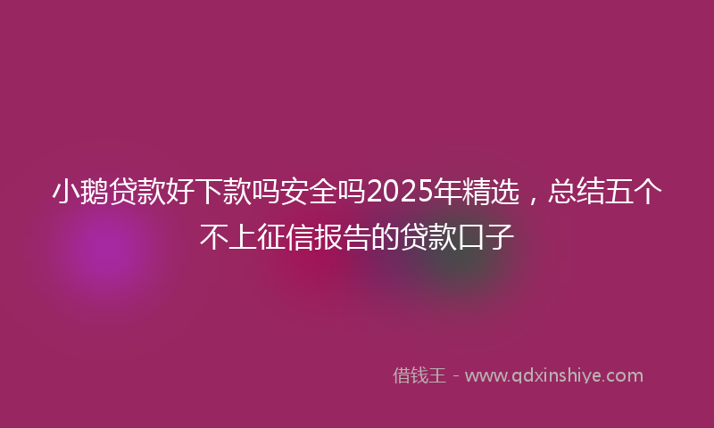 小鹅贷款好下款吗安全吗2025年精选，总结五个不上征信报告的贷款口子