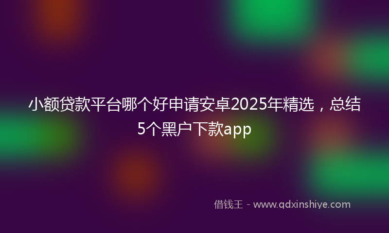 小额贷款平台哪个好申请安卓2025年精选，总结5个黑户下款app