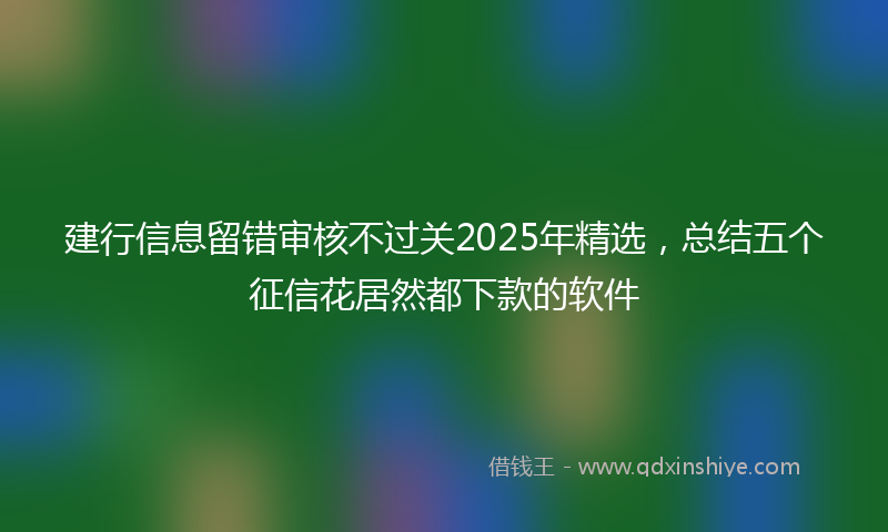 建行信息留错审核不过关2025年精选，总结五个征信花居然都下款的软件