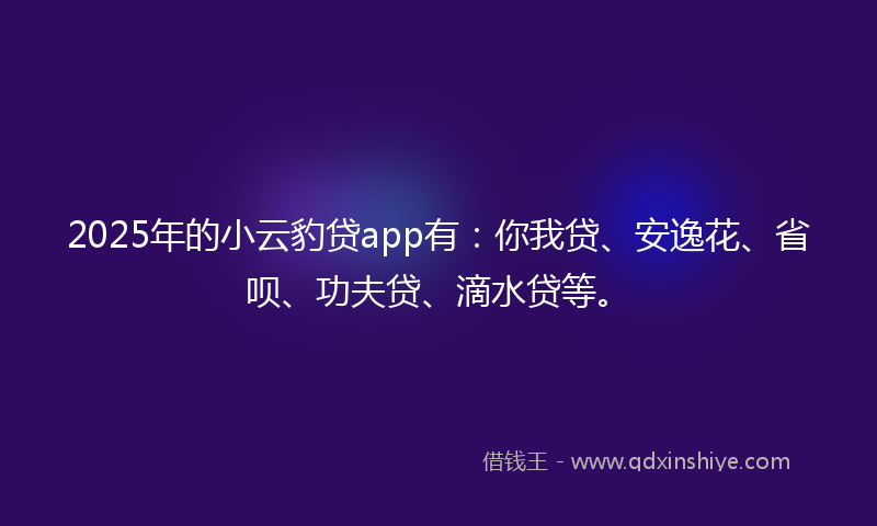 2025年的小云豹贷app有：你我贷、安逸花、省呗、功夫贷、滴水贷等。
