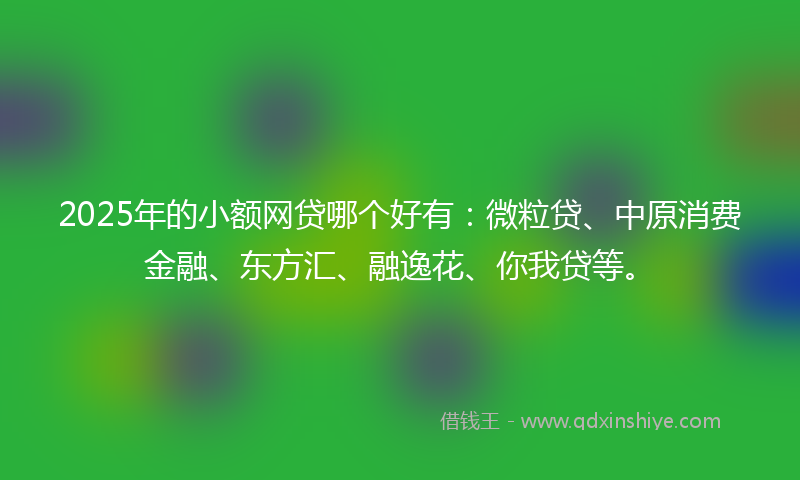 2025年的小额网贷哪个好有：微粒贷、中原消费金融、东方汇、融逸花、你我贷等。
