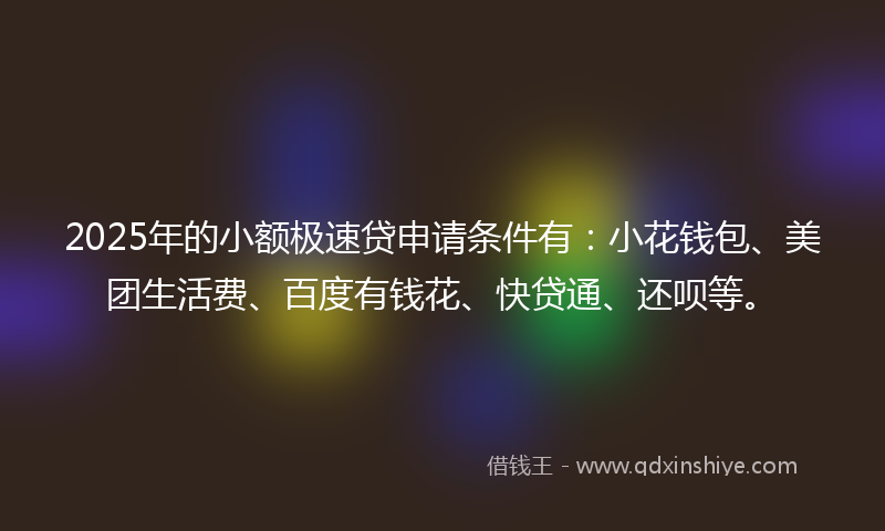 2025年的小额极速贷申请条件有：小花钱包、美团生活费、百度有钱花、快贷通、还呗等。
