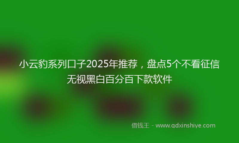 小云豹系列口子2025年推荐，盘点5个不看征信无视黑白百分百下款软件