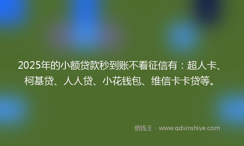 2025年的小额贷款秒到账不看征信有：超人卡、柯基贷、人人贷、小花钱包、维信卡卡贷等。