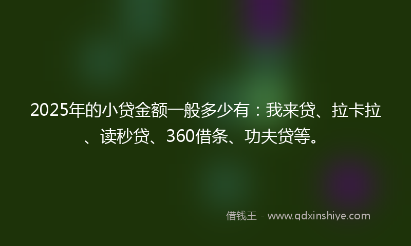 2025年的小贷金额一般多少有：我来贷、拉卡拉、读秒贷、360借条、功夫贷等。