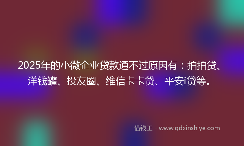 2025年的小微企业贷款通不过原因有：拍拍贷、洋钱罐、投友圈、维信卡卡贷、平安i贷等。