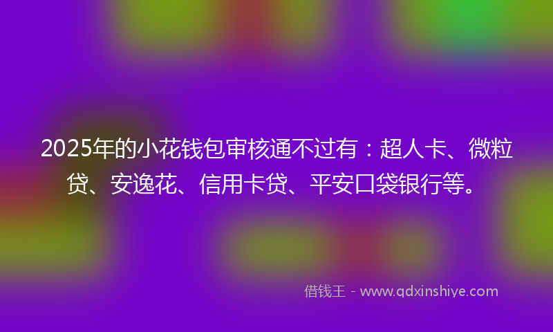 2025年的小花钱包审核通不过有：超人卡、微粒贷、安逸花、信用卡贷、平安口袋银行等。