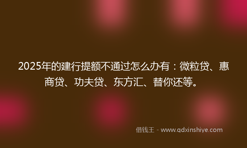 2025年的建行提额不通过怎么办有：微粒贷、惠商贷、功夫贷、东方汇、替你还等。