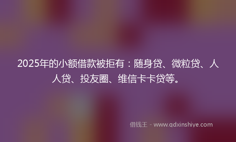 2025年的小额借款被拒有：随身贷、微粒贷、人人贷、投友圈、维信卡卡贷等。