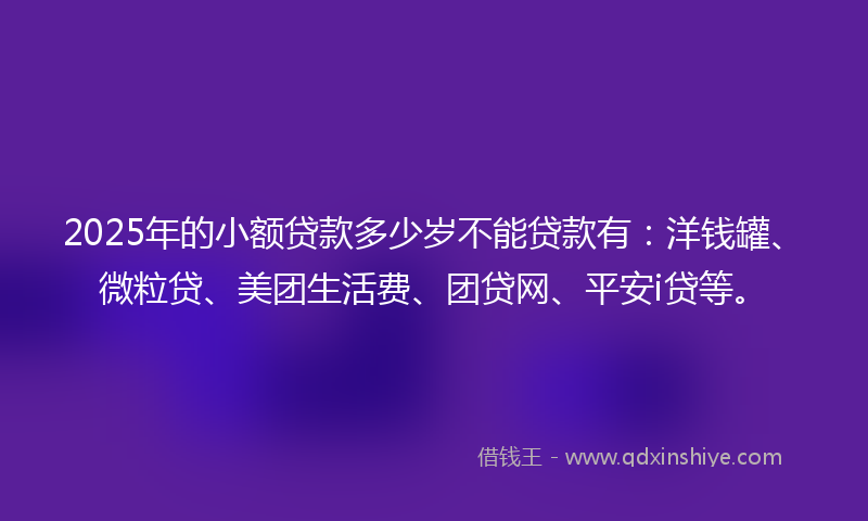 2025年的小额贷款多少岁不能贷款有：洋钱罐、微粒贷、美团生活费、团贷网、平安i贷等。