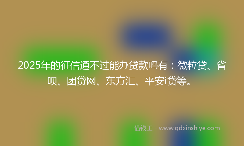 2025年的征信通不过能办贷款吗有：微粒贷、省呗、团贷网、东方汇、平安i贷等。