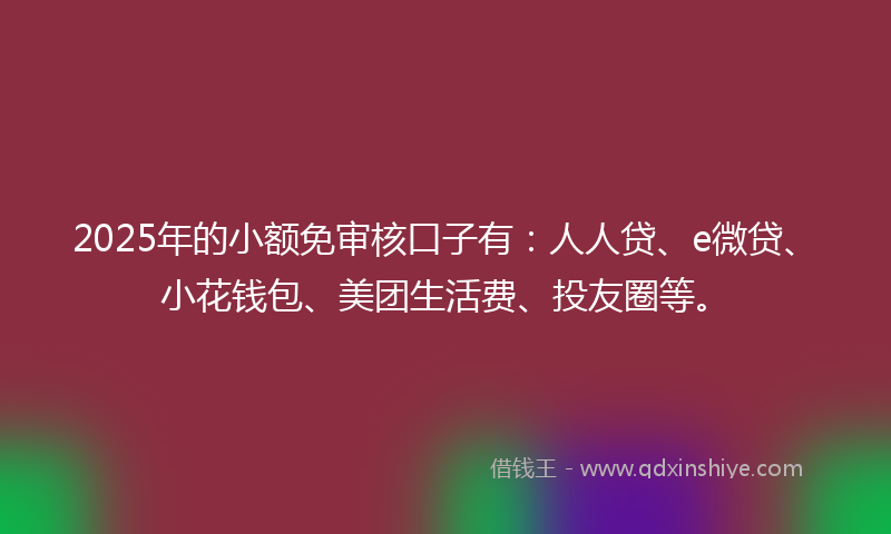 2025年的小额免审核口子有：人人贷、e微贷、小花钱包、美团生活费、投友圈等。