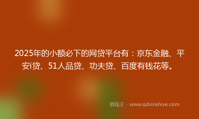 2025年的小额必下的网贷平台有：京东金融、平安i贷、51人品贷、功夫贷、百度有钱花等。