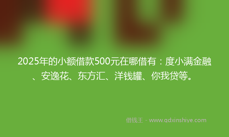 2025年的小额借款500元在哪借有：度小满金融、安逸花、东方汇、洋钱罐、你我贷等。