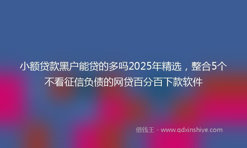 小额贷款黑户能贷的多吗2025年精选，整合5个不看征信负债的网贷百分百下款软件
