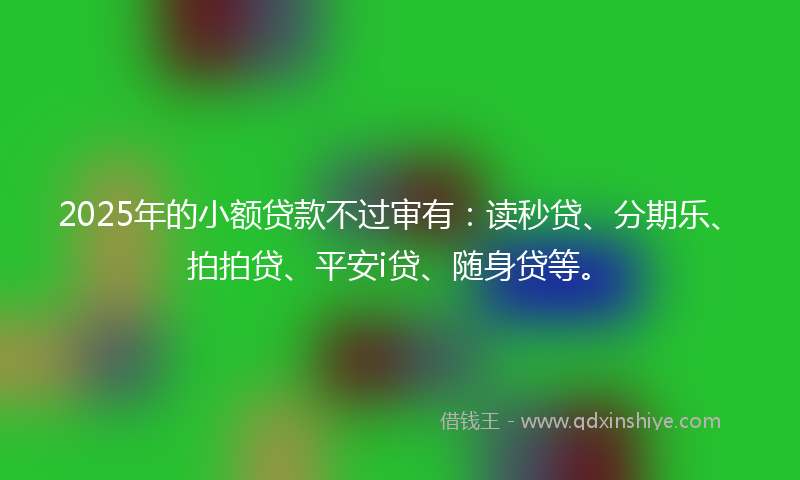 2025年的小额贷款不过审有：读秒贷、分期乐、拍拍贷、平安i贷、随身贷等。