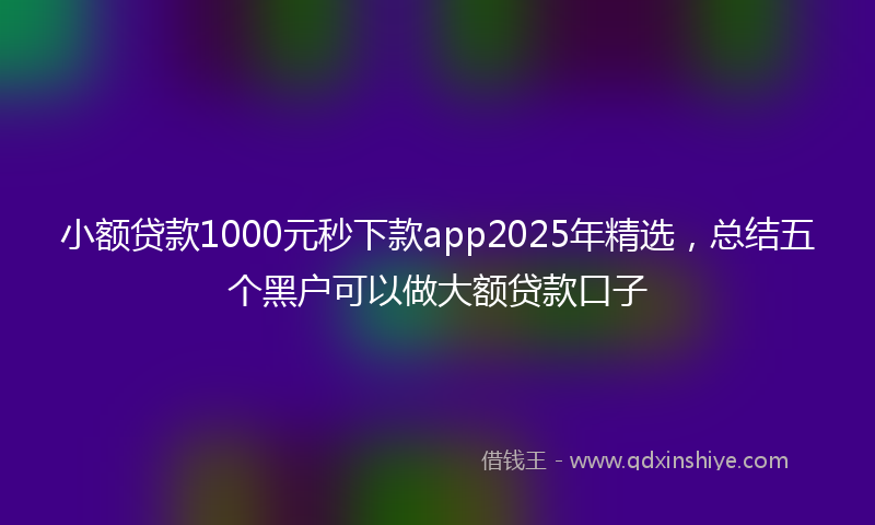 小额贷款1000元秒下款app2025年精选，总结五个黑户可以做大额贷款口子