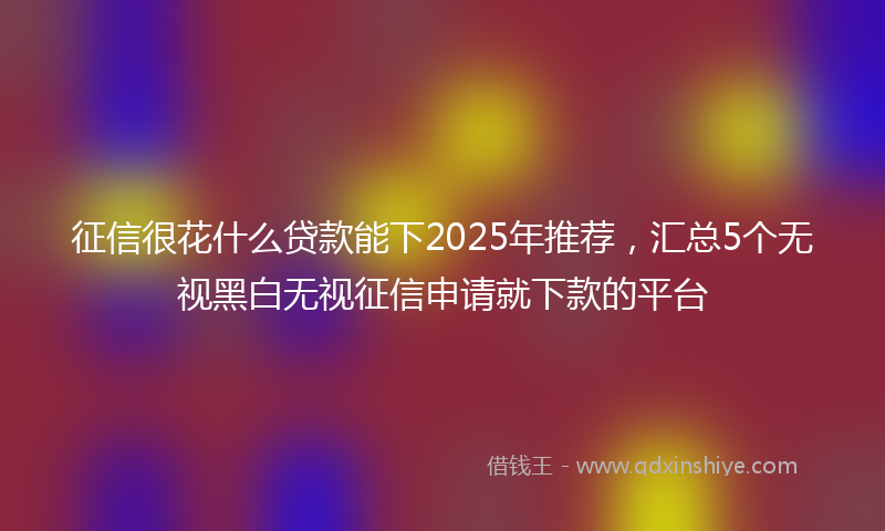 征信很花什么贷款能下2025年推荐，汇总5个无视黑白无视征信申请就下款的平台