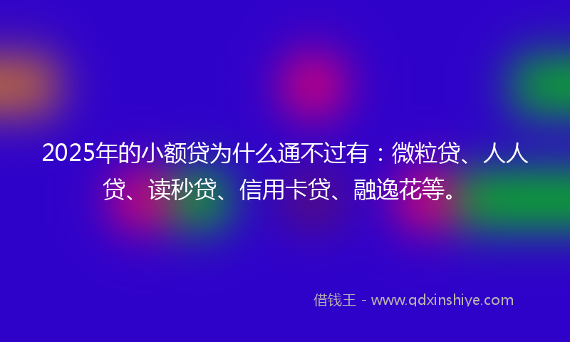 2025年的小额贷为什么通不过有：微粒贷、人人贷、读秒贷、信用卡贷、融逸花等。