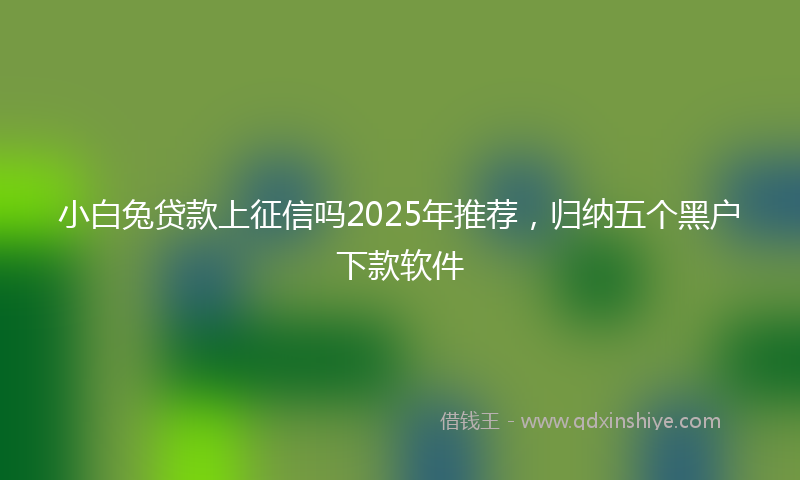 小白兔贷款上征信吗2025年推荐，归纳五个黑户下款软件