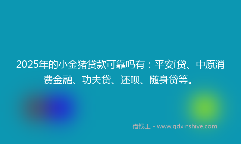 2025年的小金猪贷款可靠吗有：平安i贷、中原消费金融、功夫贷、还呗、随身贷等。