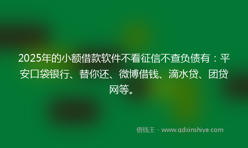 2025年的小额借款软件不看征信不查负债有：平安口袋银行、替你还、微博借钱、滴水贷、团贷网等。