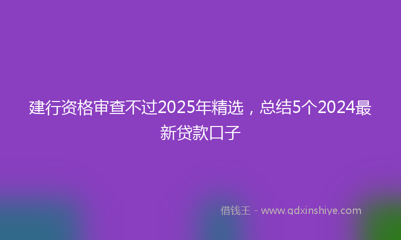 建行资格审查不过2025年精选，总结5个2024最新贷款口子