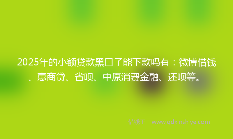 2025年的小额贷款黑口子能下款吗有：微博借钱、惠商贷、省呗、中原消费金融、还呗等。