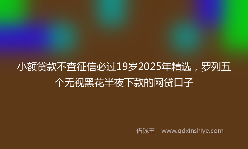 小额贷款不查征信必过19岁2025年精选，罗列五个无视黑花半夜下款的网贷口子
