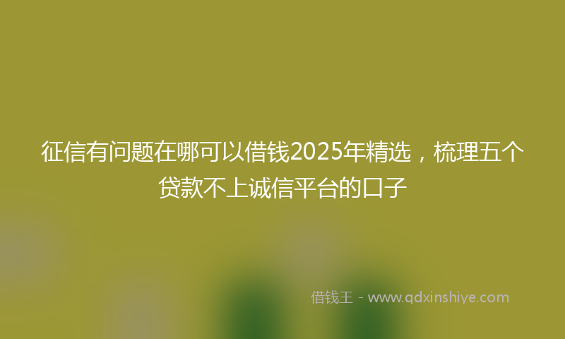 征信有问题在哪可以借钱2025年精选，梳理五个贷款不上诚信平台的口子